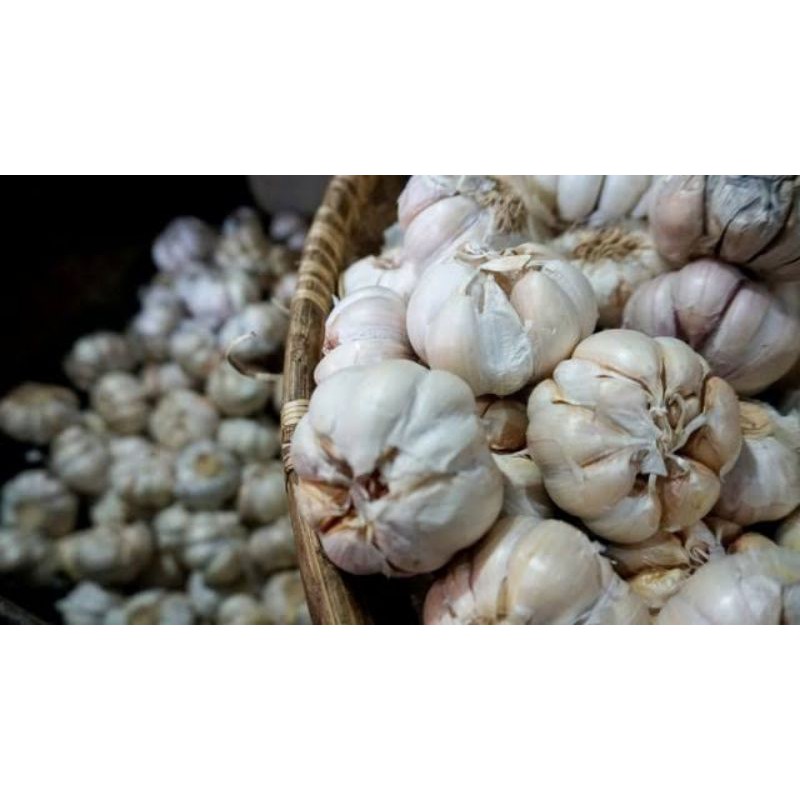 

Bawang Putih murah per KG