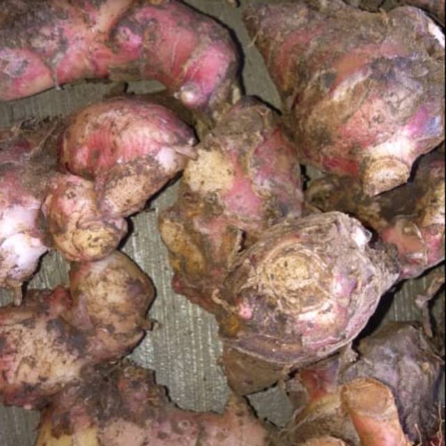 

Jahe merah segar 1kg