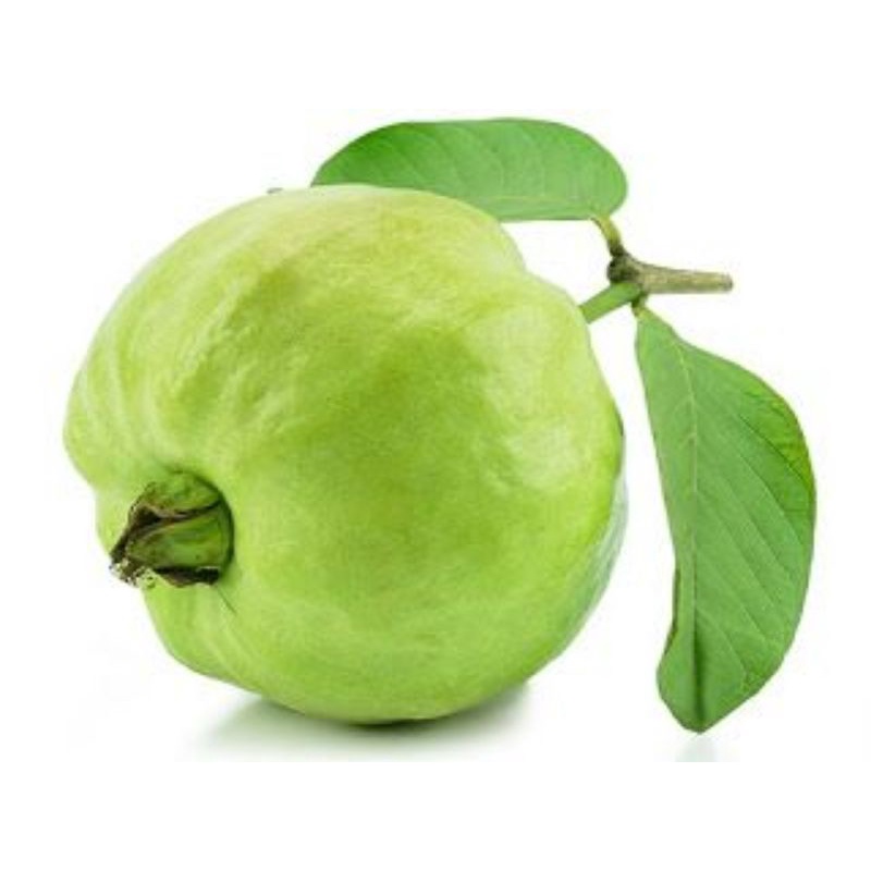 

Jambu kristal (500gr)
