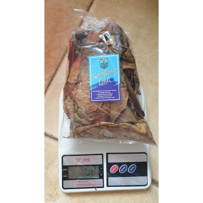 daun ketapang asli  obat alami ikan cupang (new)