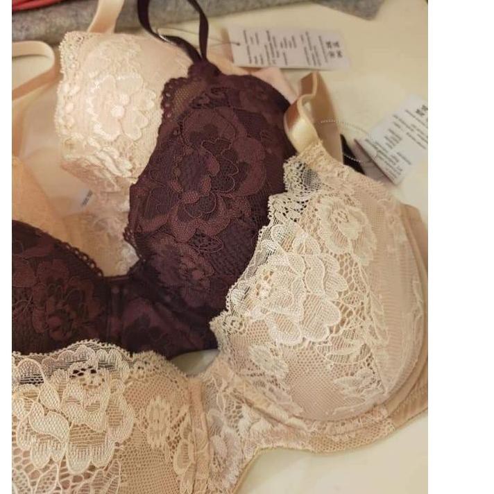 Penawaran Terbaik [-3.3-] SALE‼️ WACOAL LULUDI BRA LACE BH RENDA KAWAT BUSA TIPIS CREAM PINK WINE ヾ(