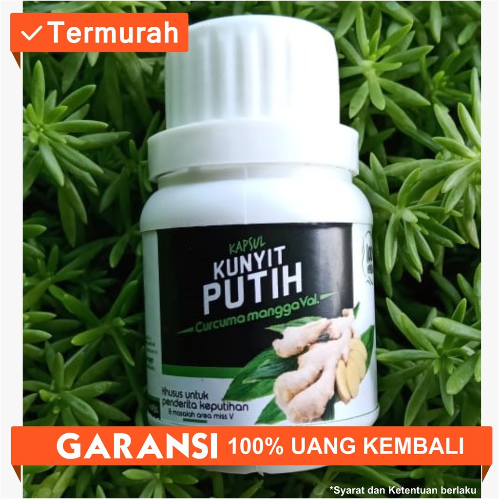 Jual Obat Herbal Kunyit Putih Isi 60 Kapsul Untuk Kista Obat Herbal Kista Obat Kista Ovarium 7323