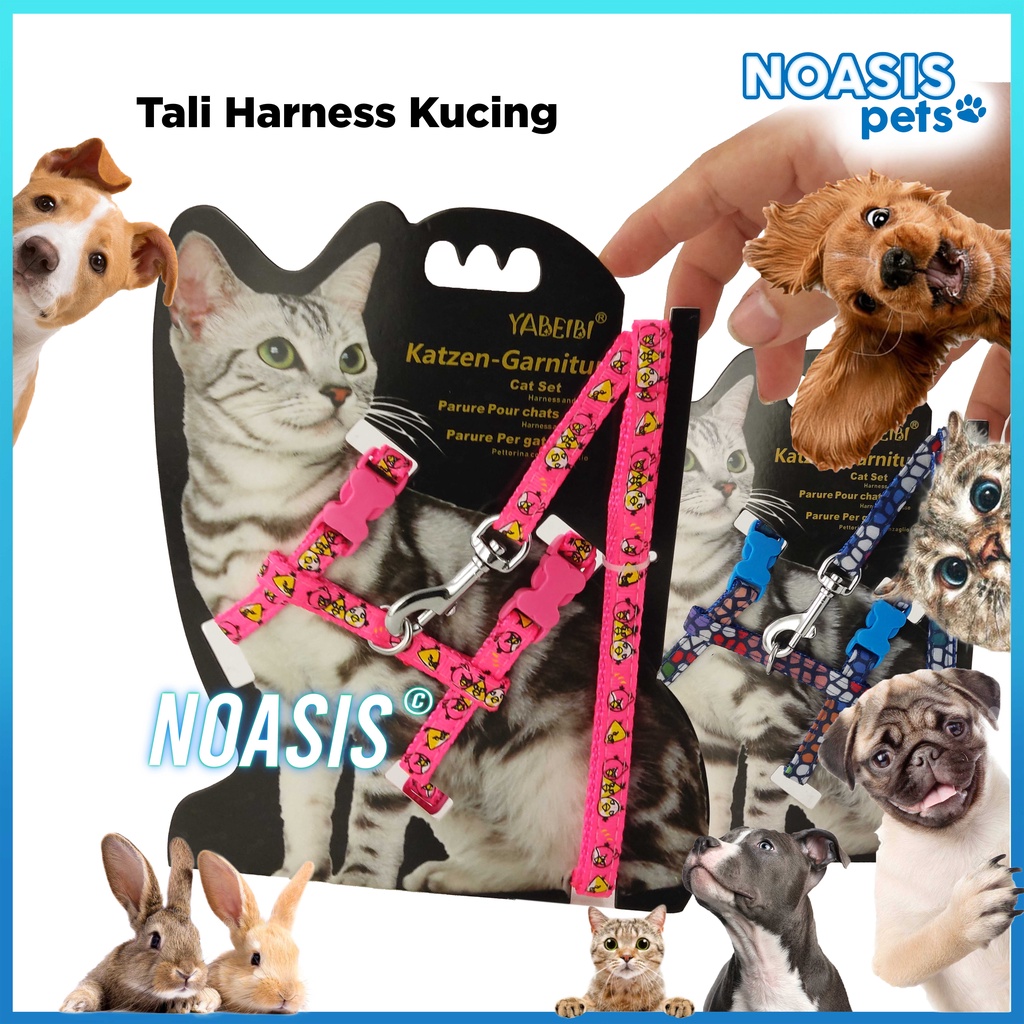 Harness H Tali Tuntun Kucing, Kelinci, Musang, Anjing puppy kitten