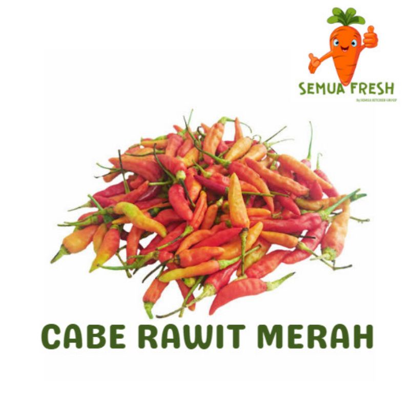 

Cabe rawit merah