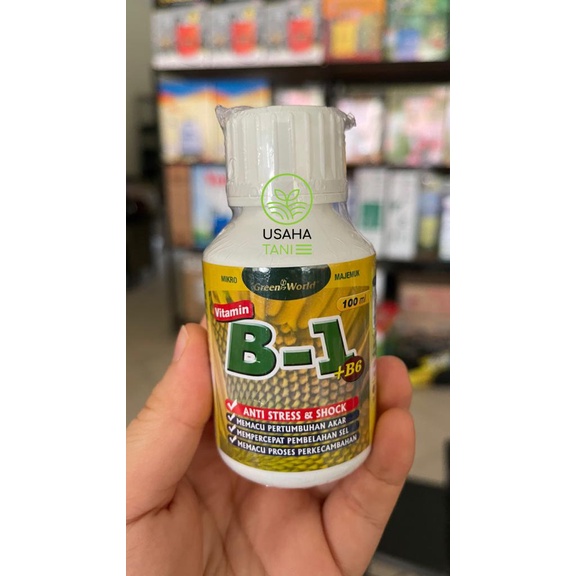Green World Vit B1 plus B6 100ml