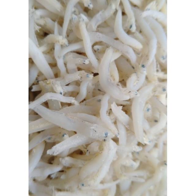 

Teri Tauge Tanjungbalai/Medan