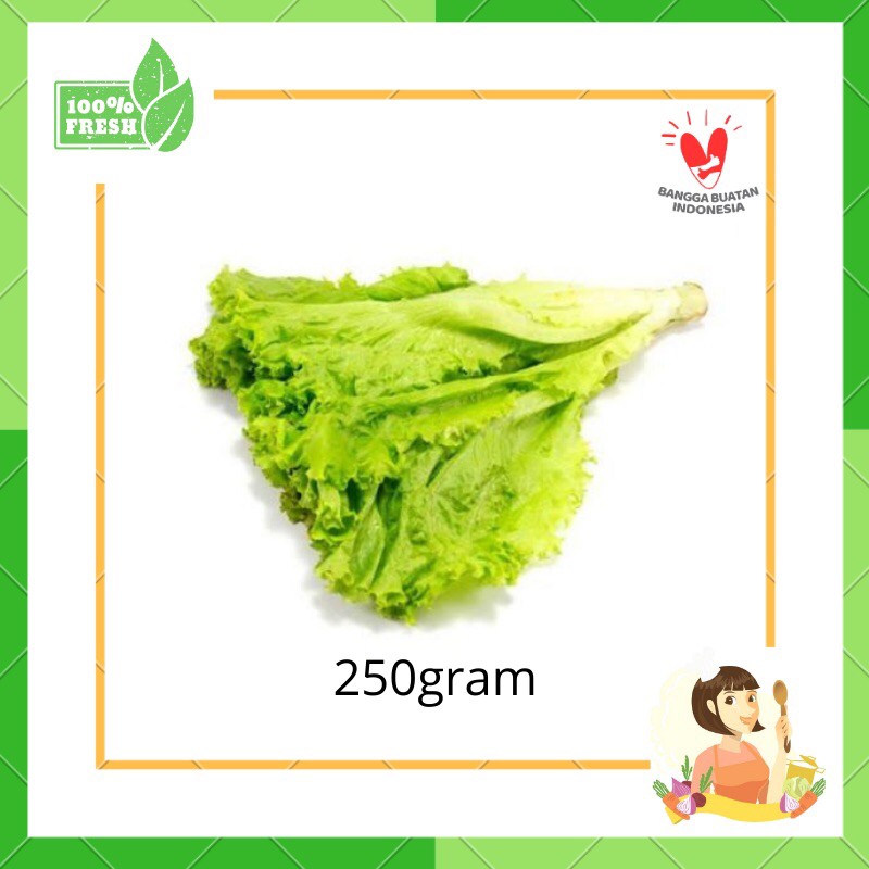 

Selada air / selada keriting 250gram - sayur segar bekasi