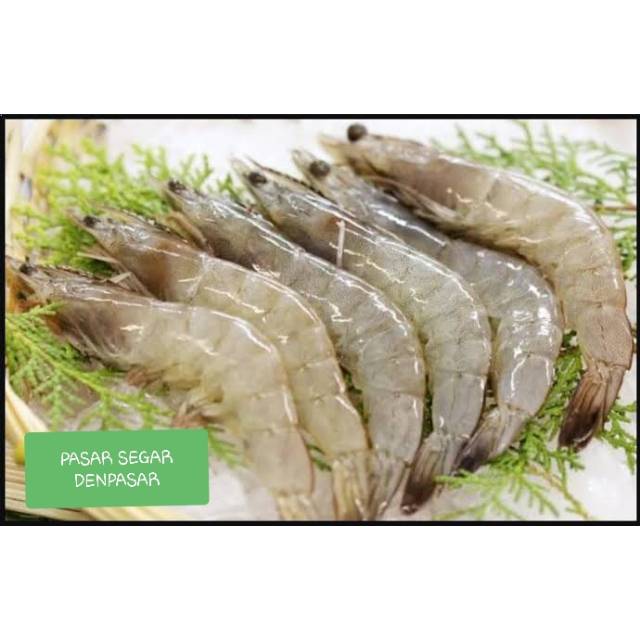 

UDANG SEGAR