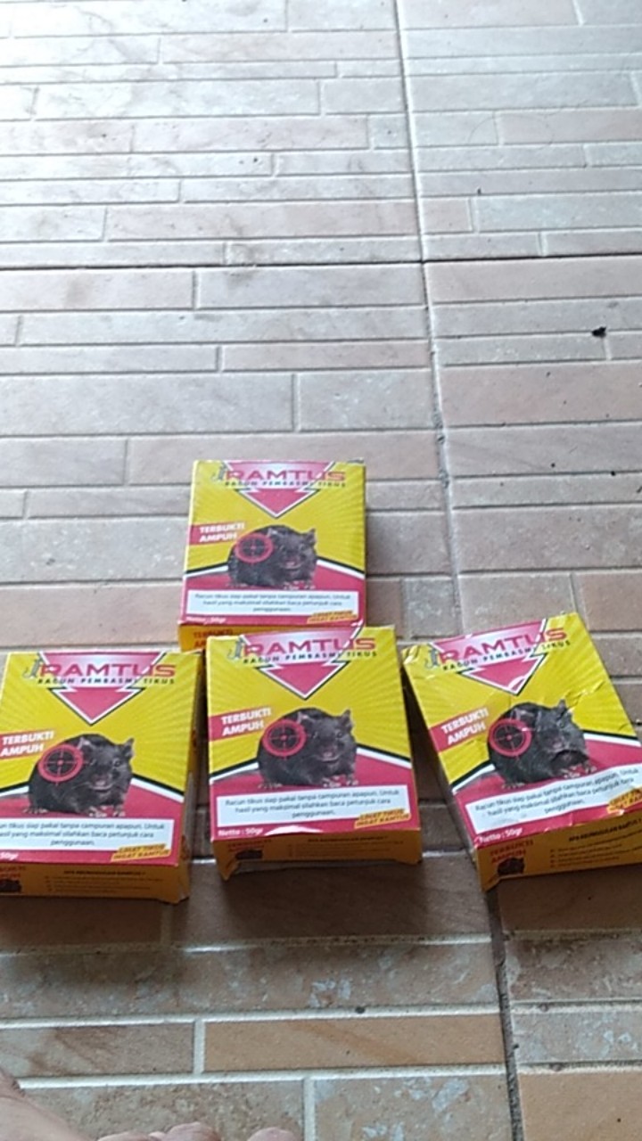 Ramtus Racun Tikus Ampuh Mati Kering Tidak Bau Pembasmi Curut Wirog Mencit Dirumah Di Mobil 4 Pack