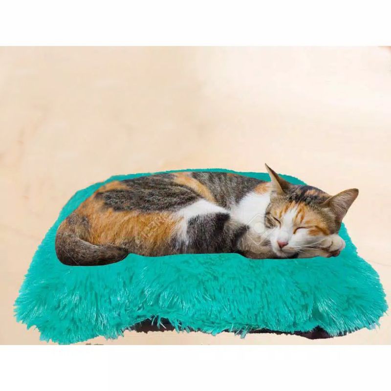 Tempat Tidur kucing/Warm Bed/Bantal Kucing/Pets Bed ukuran Kecil / BTL