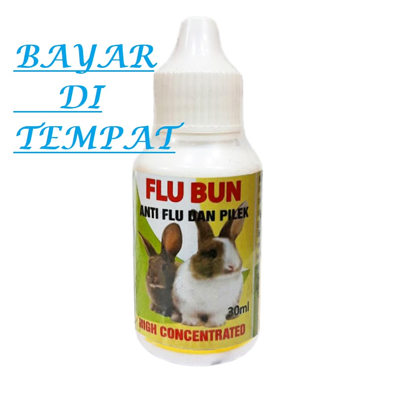 OBAT ANTI FLU DAN PILEK KELINCI AMPUH FLU BUN