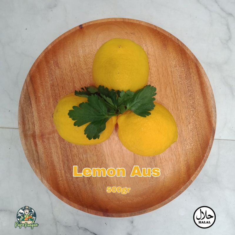 

Lemon Import Papapangan