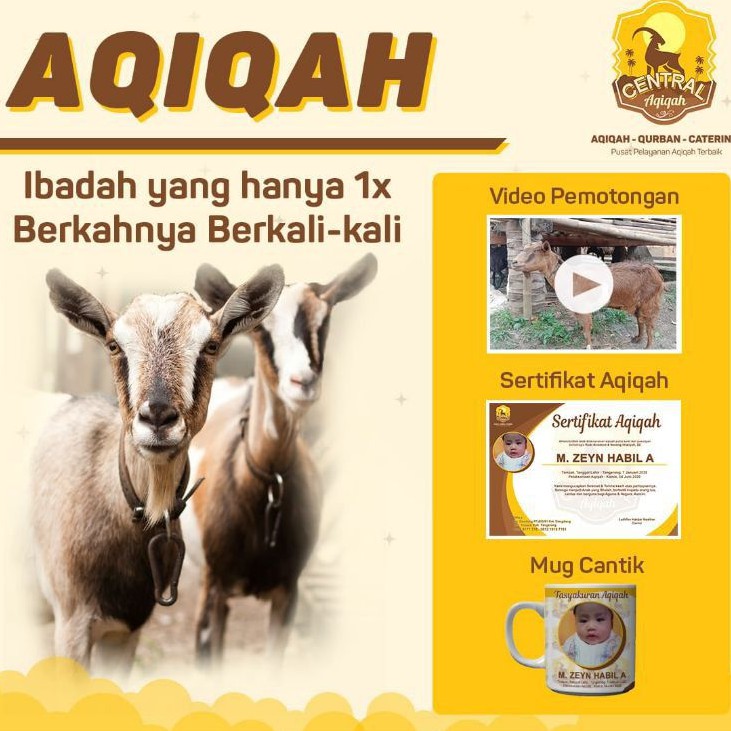 

Paket aqiqah Ekonomis dan murah