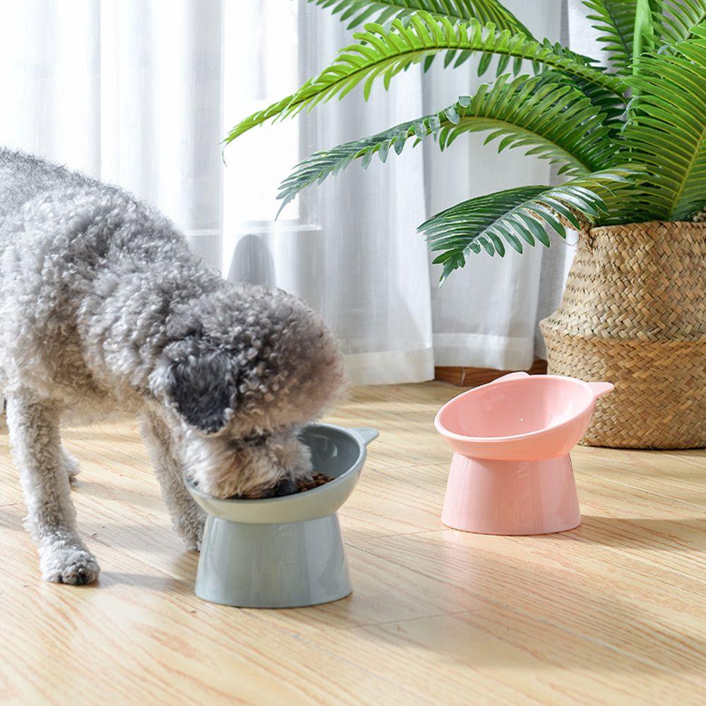 Suyo Tempat Makan Hewan Peliharaan 45°Mangkok Makan Anjing / Kucing Peliharaan Anti Tumpah