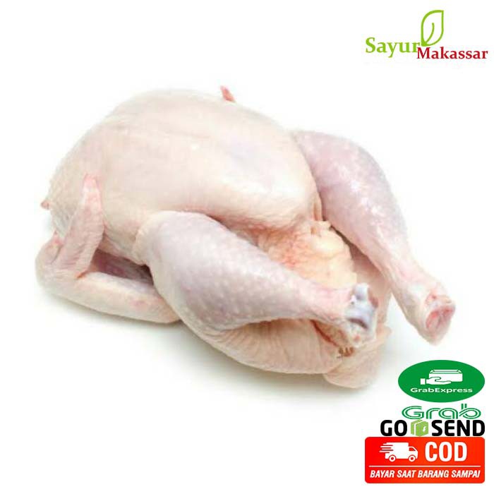 

Daging / Ayam Potong Broiler Per Ekor Segar Fresh Pasar Online Makassar