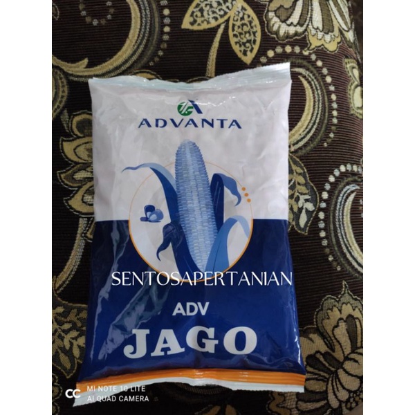 benih jagung hibrida ADV JAGO 1kg