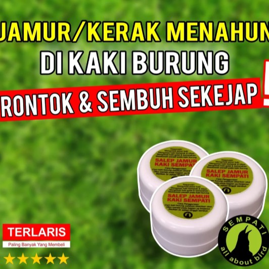 G014035 SALEP ANTI JAMUR KAKI SEMPATI OBAT BURUNG SAKIT KAKI JAMURAN IRITASI BENGKAK BERKERAK