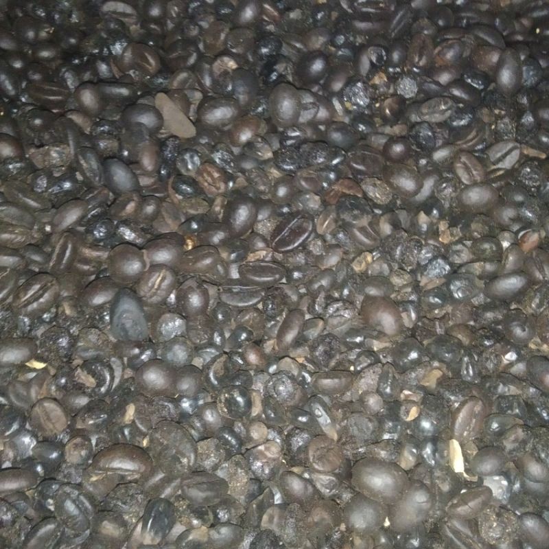 

Kopi jagung 250gr