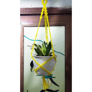  Gantungan  Pot  Tali  Pot  Gantung Macrame Shopee Indonesia