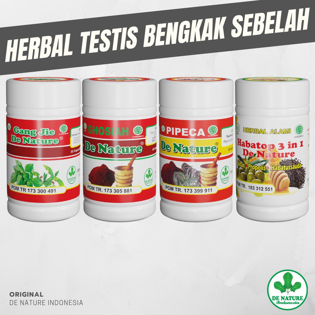(BISA COD) OBAT TESTIS BENGKAK, HIDROKEL, VARIKOKEL, EPIDIDMITIS & HERNIA