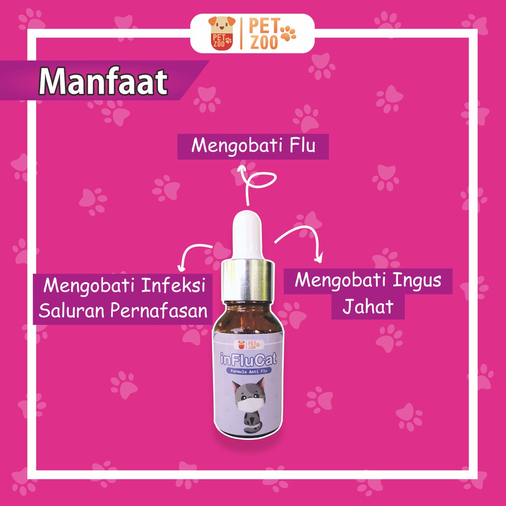 INFLUCAT Obat Flu dan Batuk Kucing Ampuh