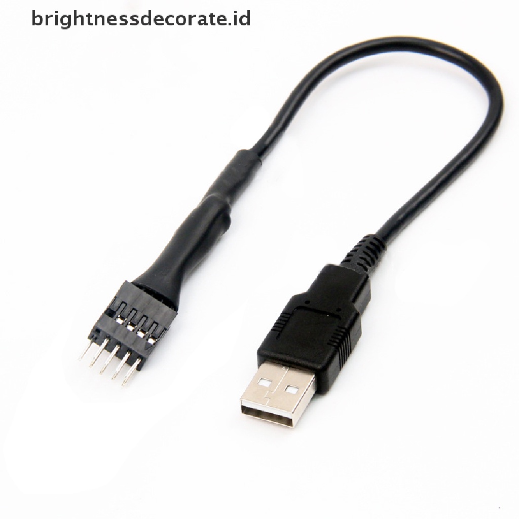 Kabel Ekstension Data Mainboard Internal 9 Pin Male Ke Usb A Male Eksternal