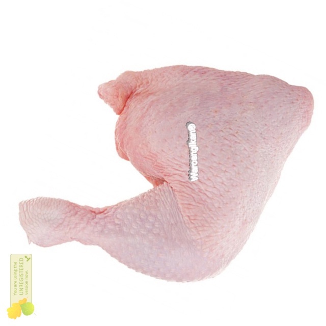 

Paha Ayam Segar /Fresh Chicken