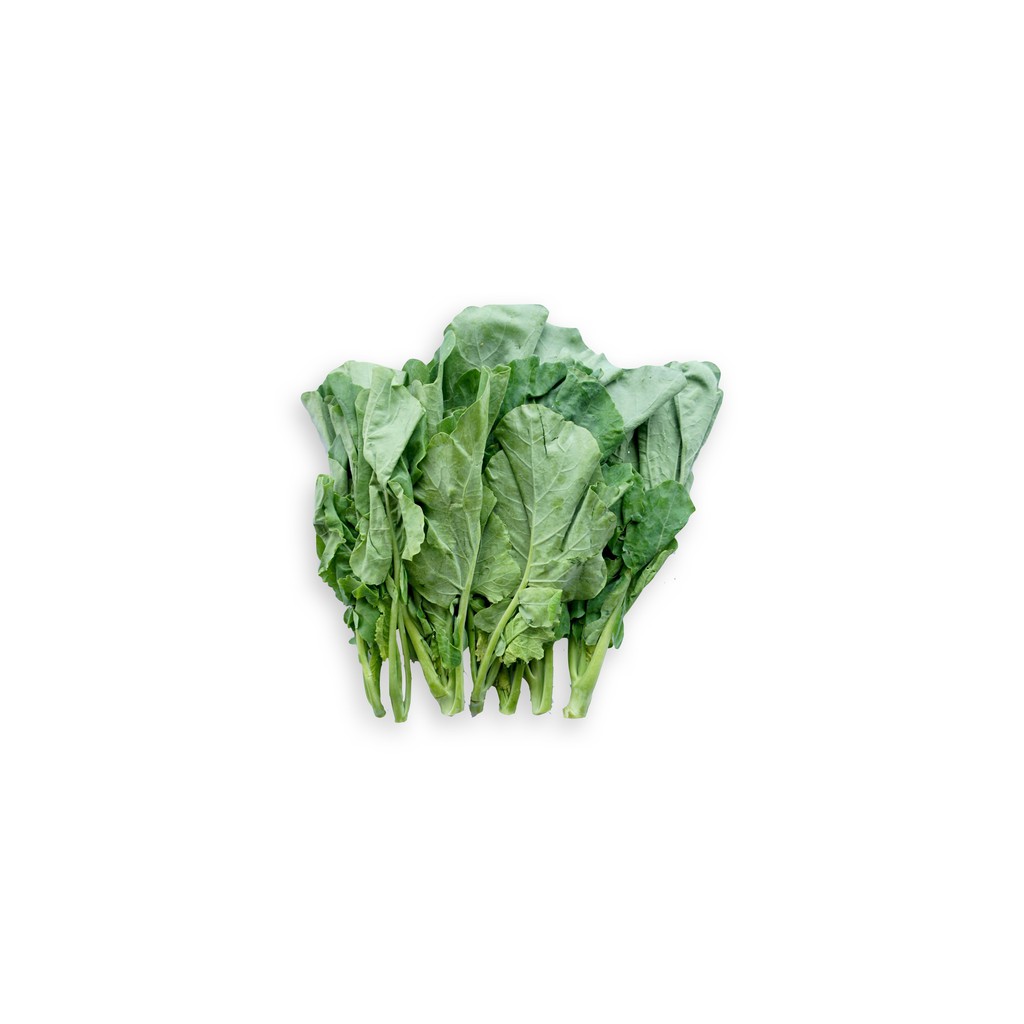 

SAYUR ORGANIK Kailan