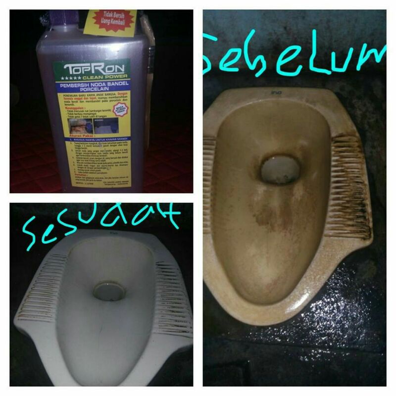 topron pembersih kamar mandi