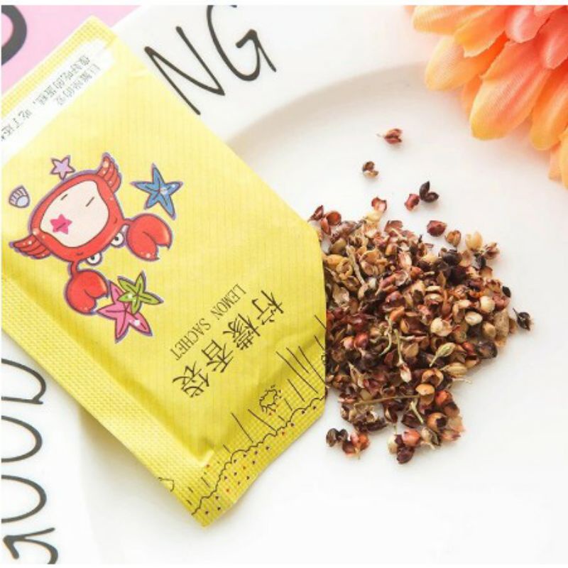 Pengharum Ruangan Sachet Parfum Ruangan Mini Pewangi Aromaterapi