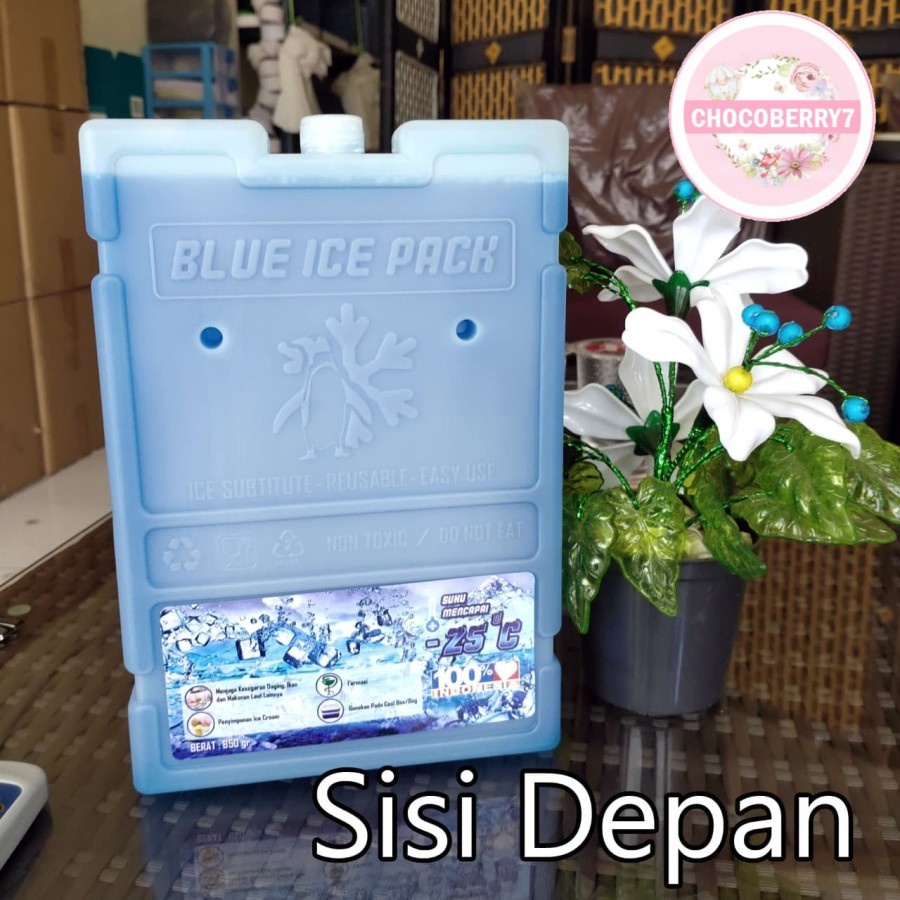 Ice Pack Sedang Blue Ice Pack Medium Reusable Pengganti Dry Ice