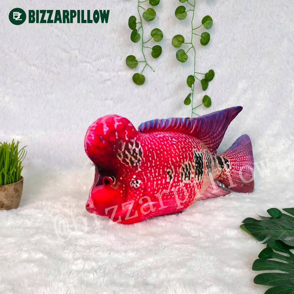 Bizzarpillow Bantal Ikan Louhan size M BZ080