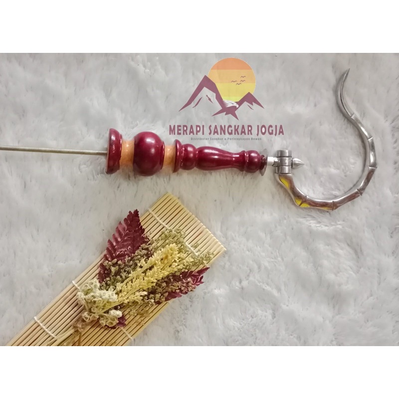 PION PLECI KAYU JATI PREMIUM