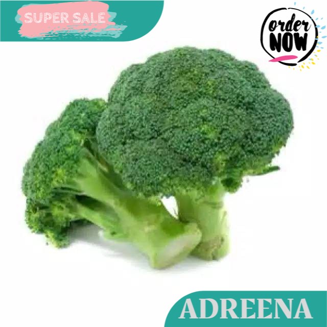 

Brokoli 250 - 300 Gram Adreena Freshbox
