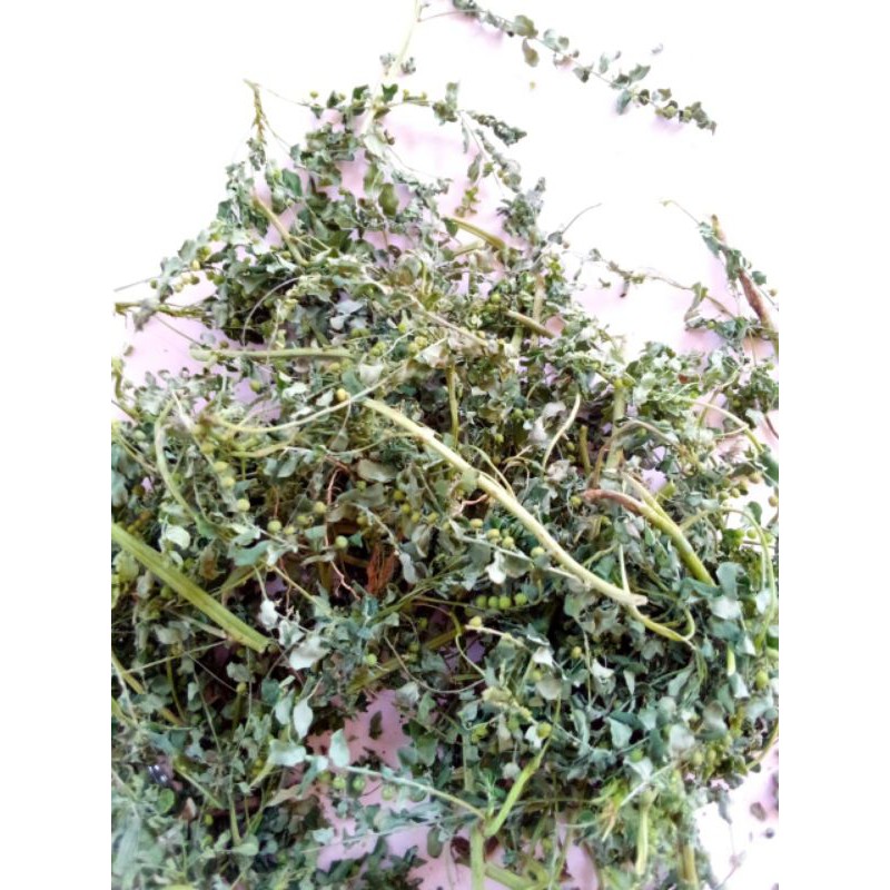 

Bubuk Meniran Netto 50 gram