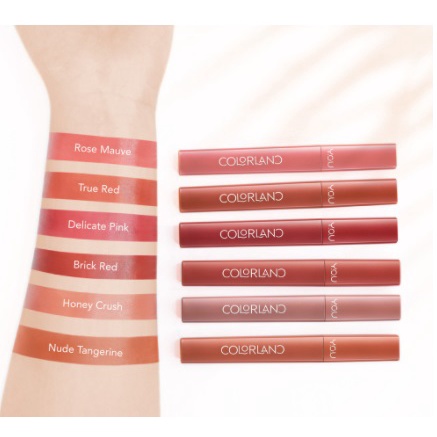 YOU ( Y.O.U )  Colorland Powder Mousse Lip Stain