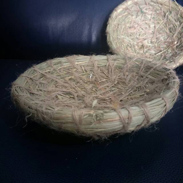 Sarang burung perkutut/sarang perkutut/sarang kutut/sarang burung perkutut/