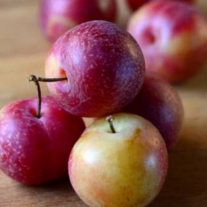 

Plum Cerry Australia