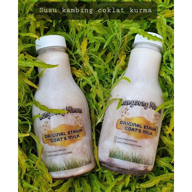 

SUSU KAMBING COKELAT KURMA LANGSUNG MINUM