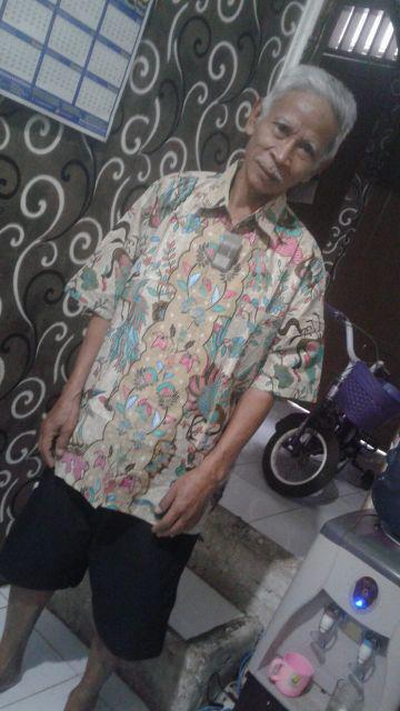 Trolistore Kemeja Batik Pria Cowok Lengan Pendek Motif Manuk Zebra Seragam Batik Murah Pekalongan