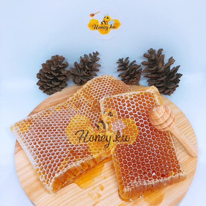 

Madu Sarang Melifera Honeycomb 500gr - MMD1138