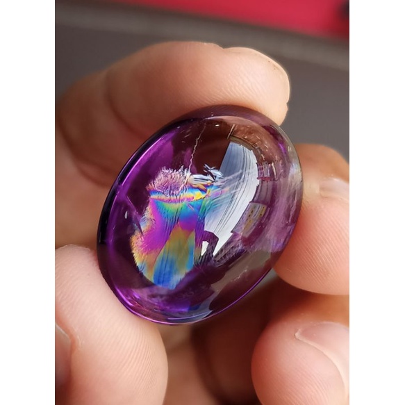 kecubung ungu pelangi