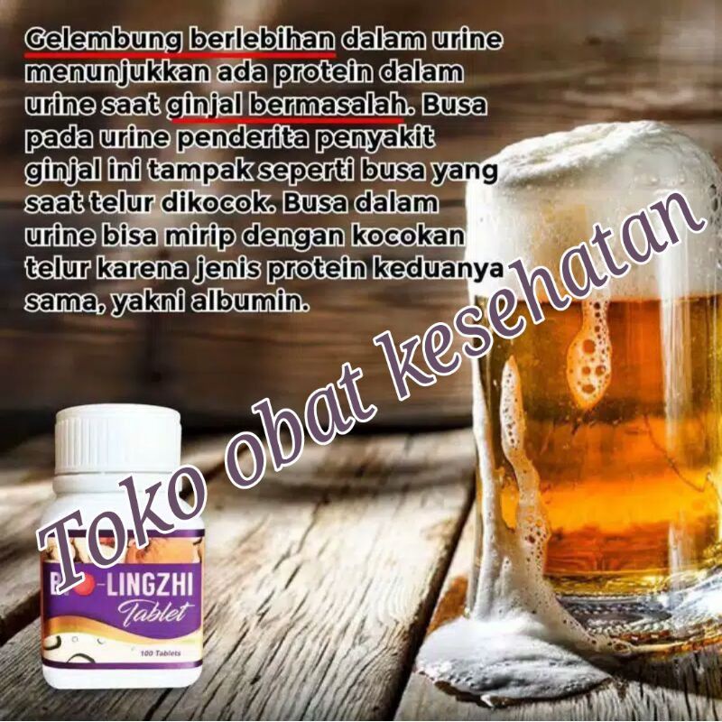 [BISA COD] Herbal Bio Lingzhi Obat Ginjal Asli Biolingzhi Tablet Bio Lingzi 100% Original