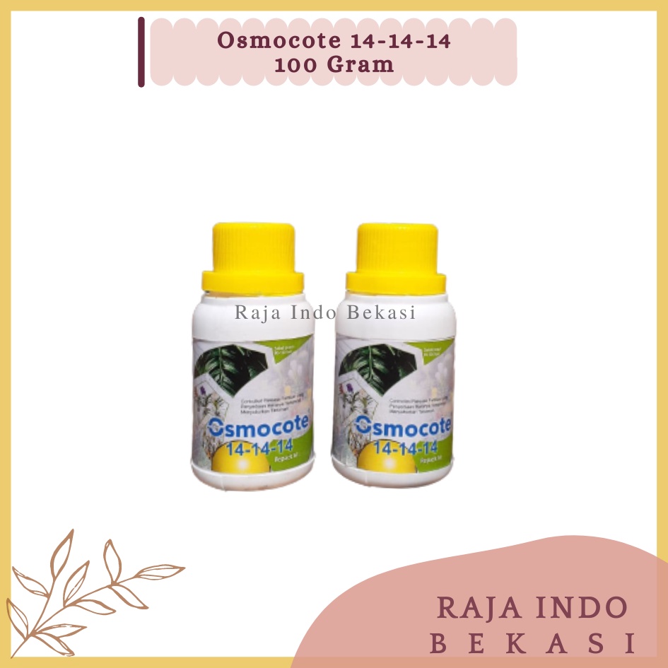 ORI Dekastar Osmocote 14-14-14 100 Gram Pupuk Slow Release Pertumbuhan Daun Seimbang Osmocote 141414 Bukan Dekastar 17-11-10 Dekastar 6-13-25 Dekastar 13-13-13 100 Gram