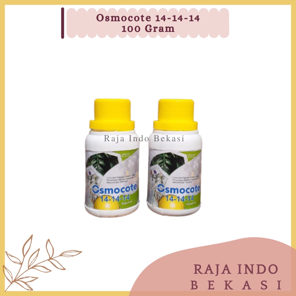 RAJAINDOBEKASI ORI Dekastar Osmocote 14-14-14 Pupuk Slow Release Pertumbuhan Daun Seimbang Osmocote 141414 Bukan Dekastar 17-11-10 Dekastar 6-13-25 Dekastar 13-13-13 100 Gram