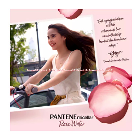 Pantene Micellar 530ml Detox &amp; Hydrate Rose Water Extract Scalp Light Conditioner Kondisioner Pentin Mengatasi Rambut Kering Dry Hair