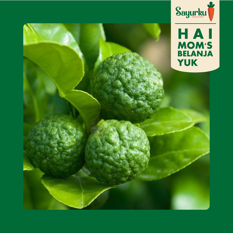 

Jeruk Limau paket mini (4 pcs)