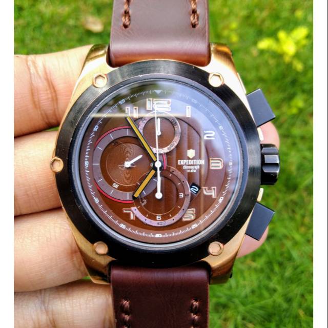 EXPEDITION 6395 rosegold