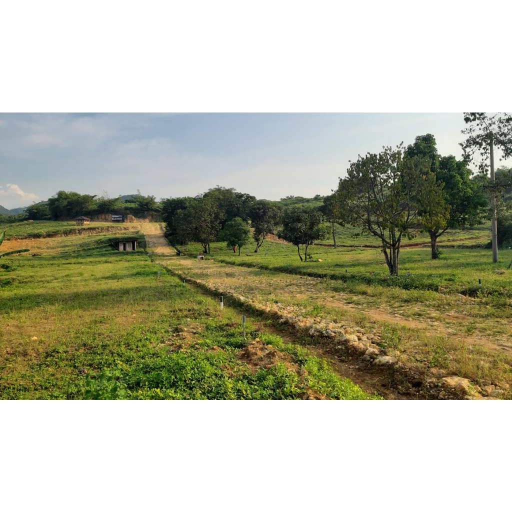 Tanah Kavling Cibubur Ramai Penduduk