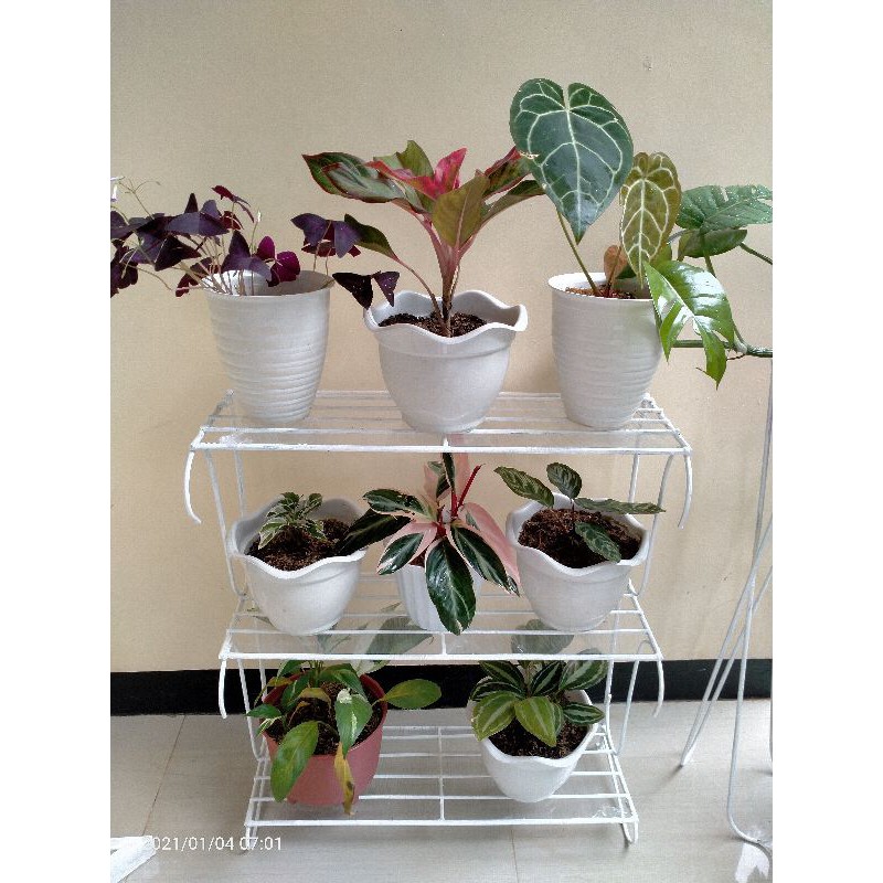 Rak besi cantik tanaman 3 susun